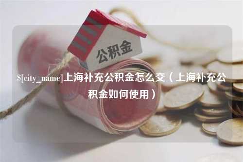 淮滨上海补充公积金怎么交（上海补充公积金如何使用）